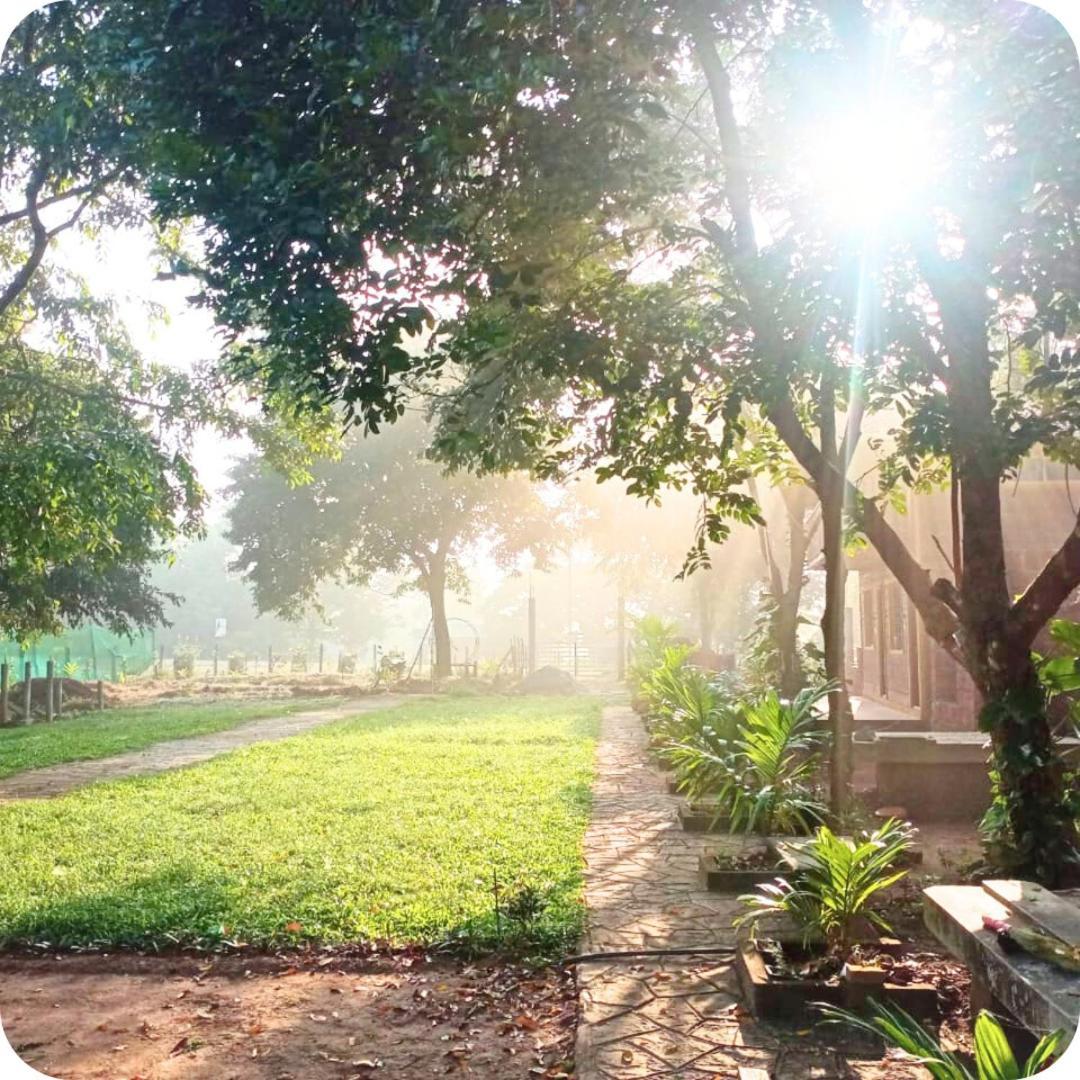 Garden ! Dandeli Ramnagar ! Eco Friendly Homestay *
