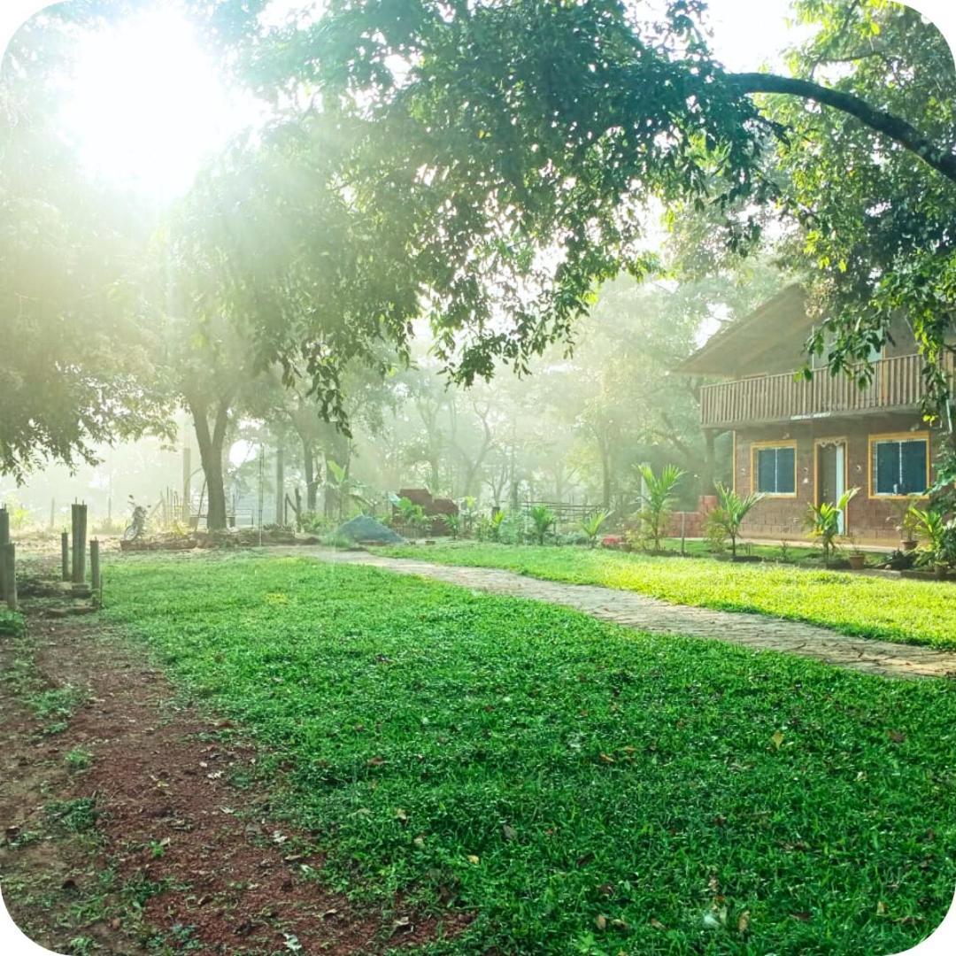 Garden ! Dandeli Ramnagar ! Eco Friendly Homestay *